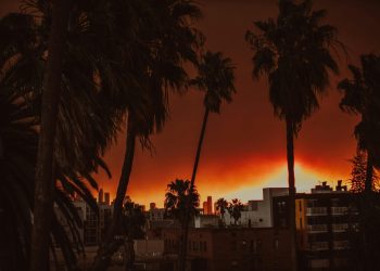 Požáry v Los Angeles zanechaly stopy na psychice zranitelných