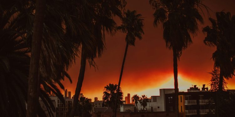 Požáry v Los Angeles zanechaly stopy na psychice zranitelných
