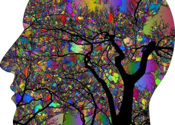 Studie: psilocybin dává mozku nový řád podle prostředí