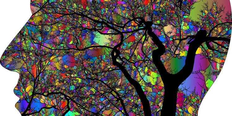 Studie: psilocybin dává mozku nový řád podle prostředí